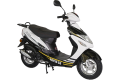 RAPİD 50