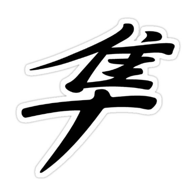 HAYABUSA
