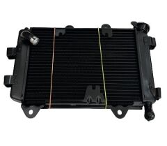 BAJAJ DOMİNAR 250 RADYATÖR ORJİNAL