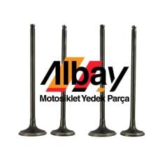 HONDA CBF 250 TWİSTER SUBAP TAKIM 2 EMME 2 EGSOZ 4 ADET