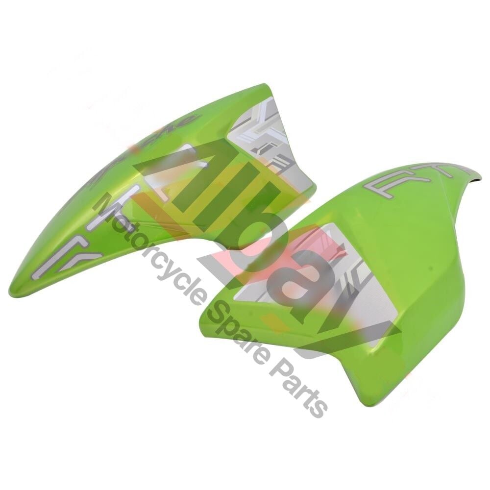 TVS APACHE RTR 180 DEPO YAN PANZOLET TAKIM YEŞİL