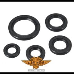 HONDA DYLAN 150 KEÇE SETİ