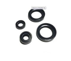 BAJAJ PULSAR NS 200-RS 200 KEÇE SETİ