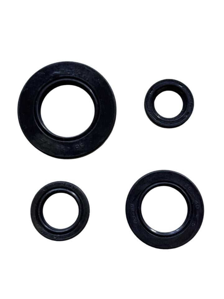 TVS NTORQ KEÇE SETİ HİNDİSTAN