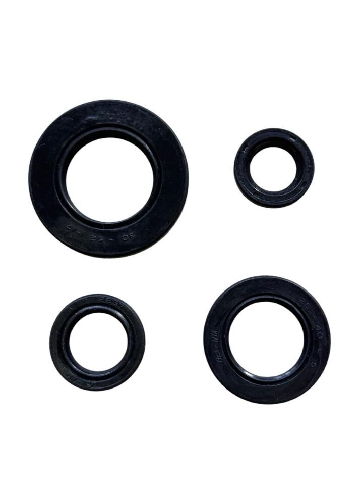 TVS NTORQ 125 KEÇE SETİ HİNDİSTAN