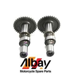 HONDA CBR 250 EGSANTRİK MİLİ TAKIM