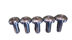 YAMAHA YBR 125 DİSK AYNASI CİVATA TAKIM 2004-2016