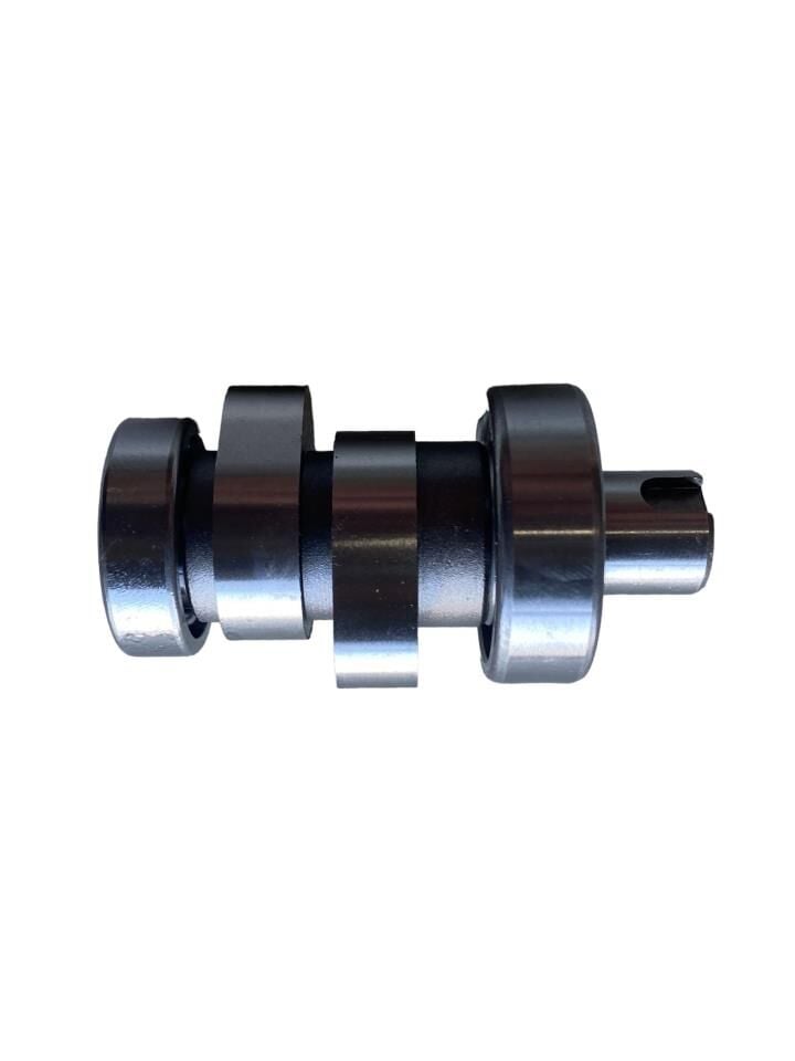 BAJAJ PULSAR NS 150 EGSANTRİK MİLİ İTHAL