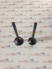 TVS APACHE SUBAP TAKIM OEM
