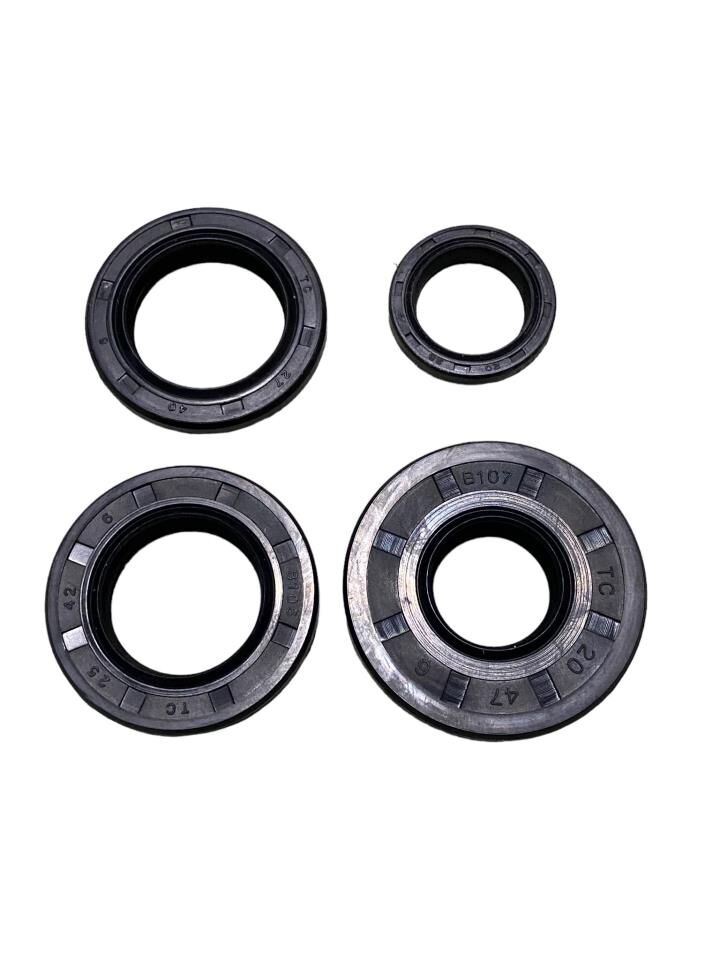 SUZUKİ AN 125 KEÇE SETİ TAKIM