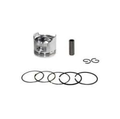 CUP 125 BİSAN TERRA PİSTON STD 14 PERNO 54mm