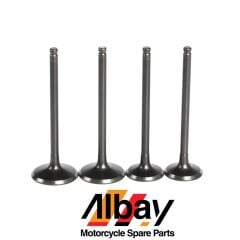 SUZUKİ GN 250 SUBAP TKM 2 EMME 2 EGSOZ