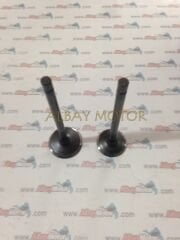 SUZUKİ AN 125-APACHE 150 SUBAP TAKIM OEM