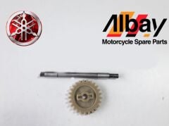 YAMAHA XMAX 250 POMPA VE DEVİR DİŞLİSİ 2013-2017