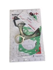 YAMAHA YBR 125 ALT ÜST CONTA OEM YEŞİL 2004-2014