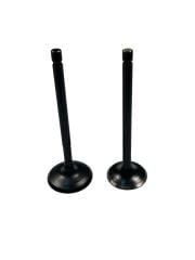 TVS APACHE 180 SUBAP TAKIM HİNDİSTAN