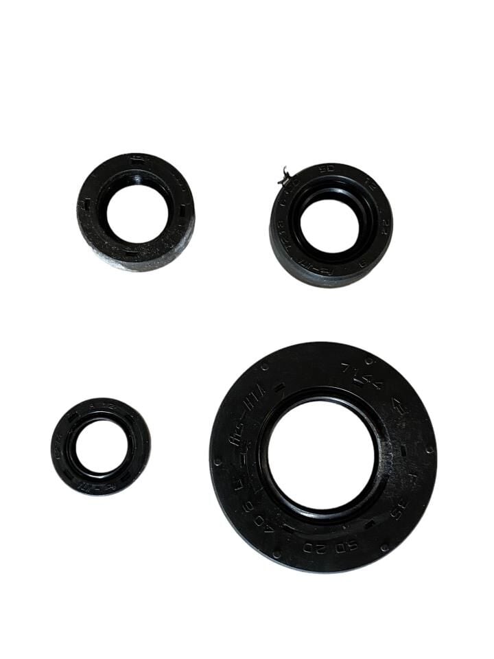 TVS APACHE KEÇE SETİ 4LÜ