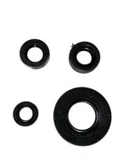 TVS APACHE KEÇE SETİ 4LÜ