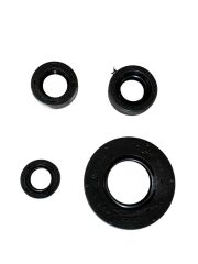 TVS APACHE KEÇE SETİ 4LÜ