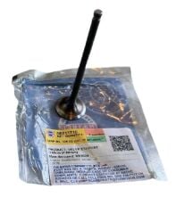 TVS RAİDER 125 SUBAP EGSOZ ORJİNAL